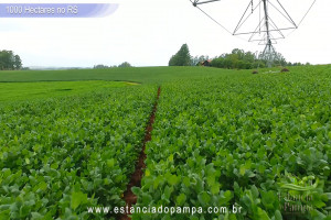 VB 4.00_03_25_19.Quadro049_1ec69a86e145d965960e403bf8bdcc92097baff7.jpg